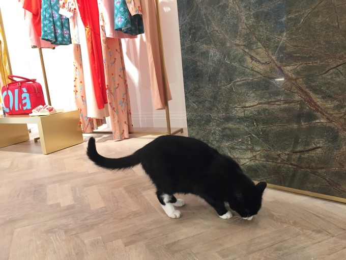 イギリス、フランス、ベルギー、オランダ、そしてもうドイツに来てます！！_f0180307_16515488.jpeg