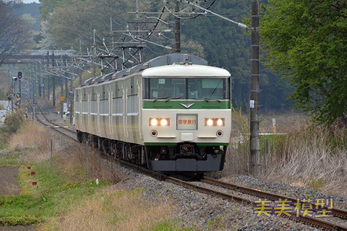 185系 集約臨 ビビッとブログ