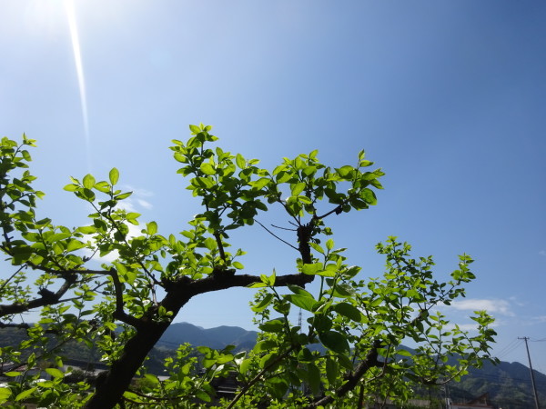 f0231709_14422980.jpg