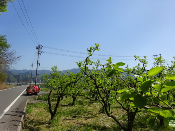 f0231709_14450622.jpg