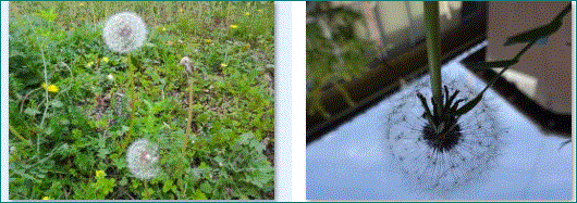 f0231709_17013631.gif