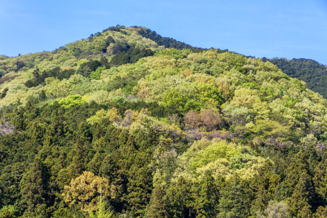 今日の日和田山_b0010915_19424790.jpg