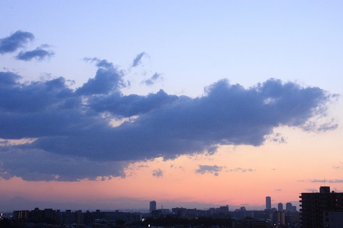 b0268615_76990.jpg