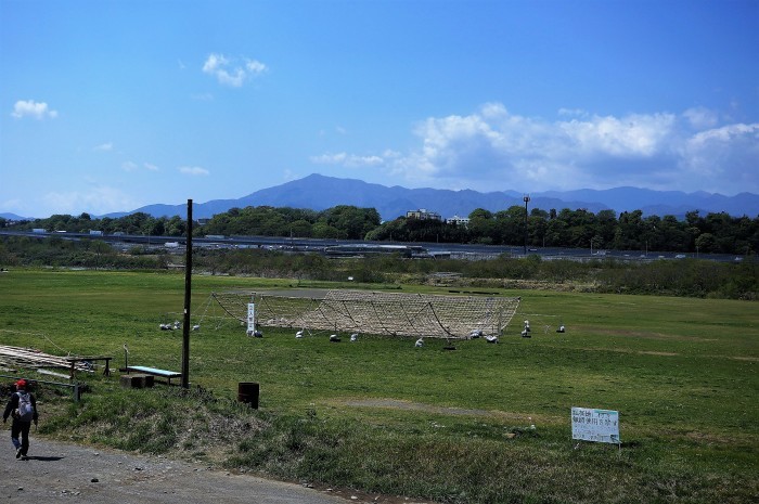 ■お散歩【座間　座架依橋河川敷の芝桜が満開なう＾＾】_b0033423_19075402.jpg