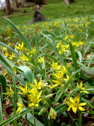 c0204725_20152513.jpg