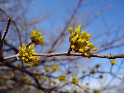 c0204725_20222991.jpg