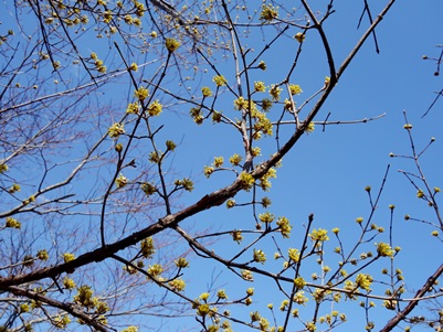 c0204725_20351428.jpg