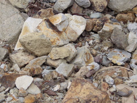 d0045626_00393823.jpg