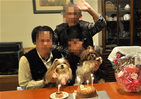 思い出　…　１１才のお誕生日（2014年）_c0045628_18515496.jpg