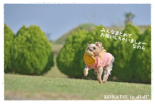 d0179828_01412477.png