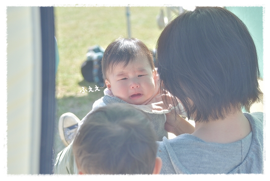 d0179828_01421934.png