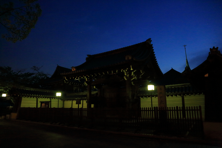 東山新緑ライトアップ －高台寺（前編）－ _b0169330_718647.jpg