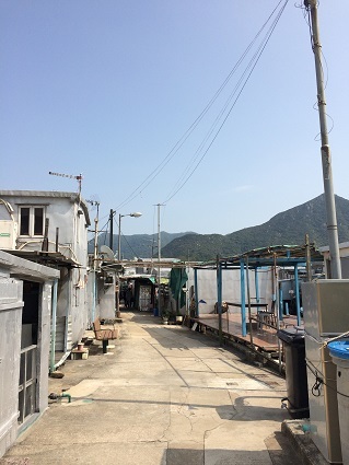 f0371533_16265825.jpg