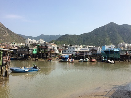 運が良かった タイオーのピンクドルフィン ウォッチング Pink Chinese White Dolphins Watching In Tai O Little Random Talks In 香港