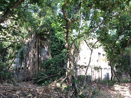 f0371533_16272810.jpg