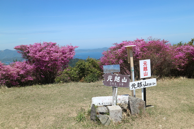 元越山の山頂に咲くフジツツジに大満足！_e0272335_1544130.jpg