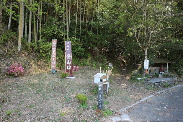 元越山の山頂に咲くフジツツジに大満足！_e0272335_15554871.jpg