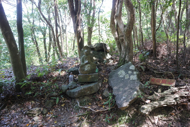 元越山の山頂に咲くフジツツジに大満足！_e0272335_1628770.jpg