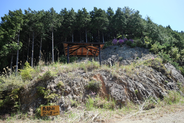 元越山の山頂に咲くフジツツジに大満足！_e0272335_16331518.jpg