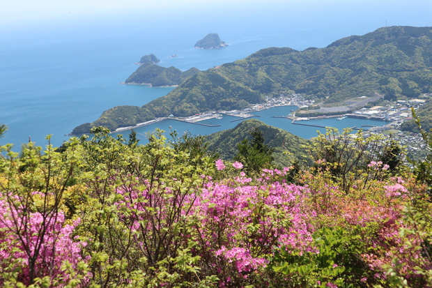 元越山の山頂に咲くフジツツジに大満足！_e0272335_17573064.jpg