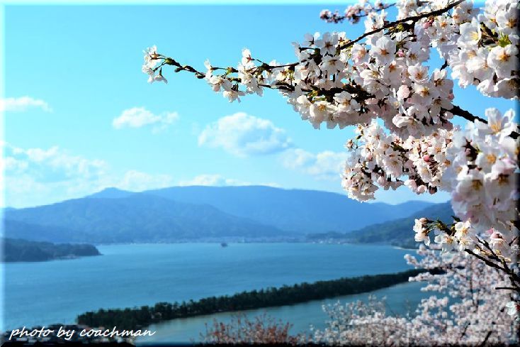 山陰山陽、桜の旅(1)_a0315942_22571794.jpg