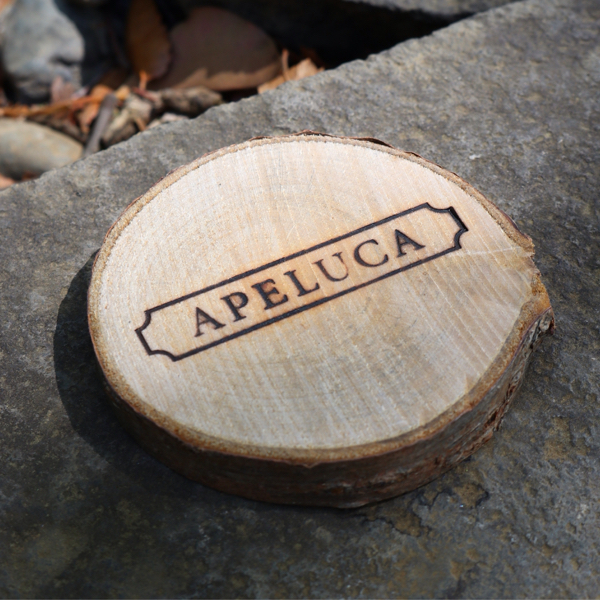 アウトドアデイジャパンで衝動買い #apeluca #アウトドアアンバサダー_c0060143_18545616.jpg