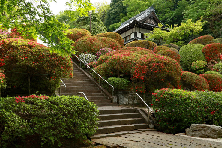 あったか気分で見るツツジ＝神木山等覚院_a0120949_07462794.jpg