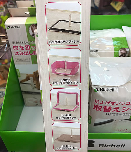 おしっこトレーの中心で_e0362456_20481140.jpg