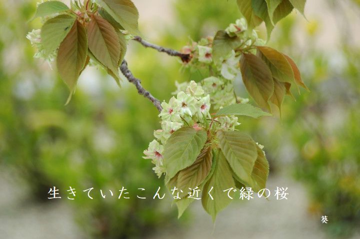 f0379160_16221674.jpg