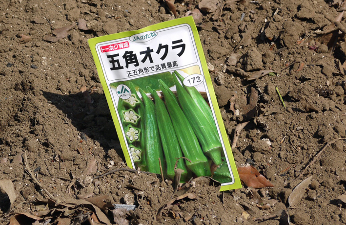 トマト、ナス、ピーマンの苗など4日連続植え付け4・9～12_c0014967_21235958.jpg