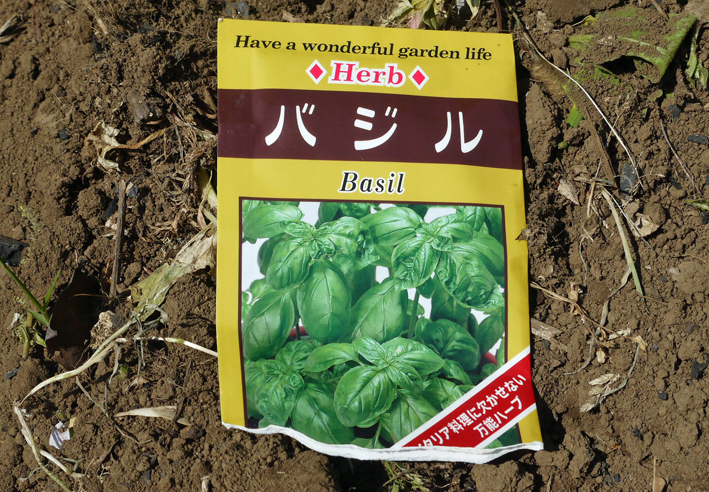 トマト、ナス、ピーマンの苗など4日連続植え付け4・9～12_c0014967_21301177.jpg