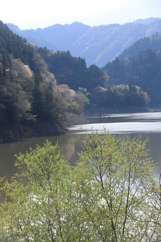 e0304170_18560436.jpg