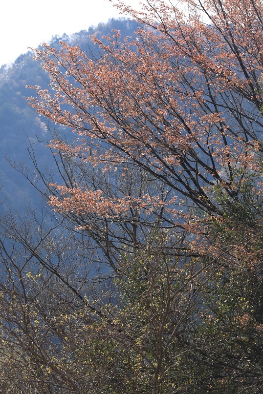 e0304170_18572625.jpg