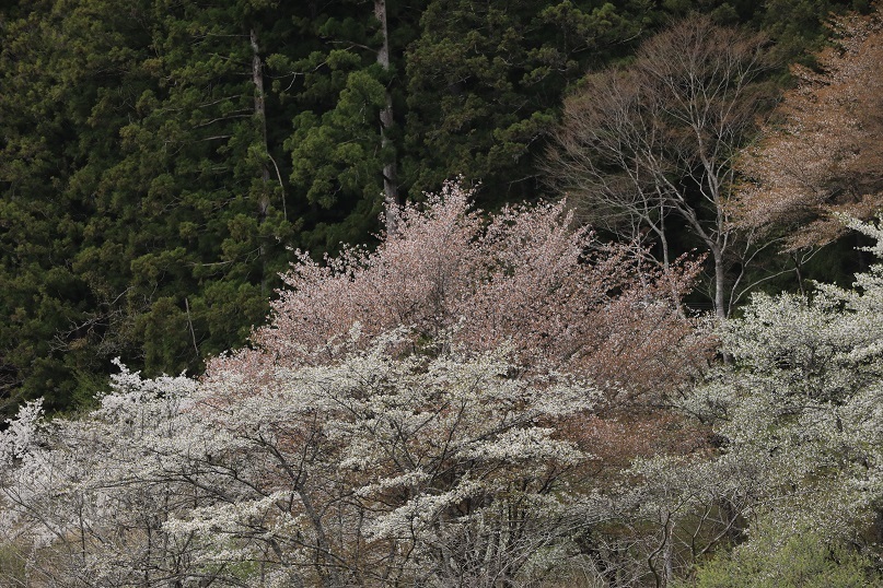 e0304170_18582014.jpg