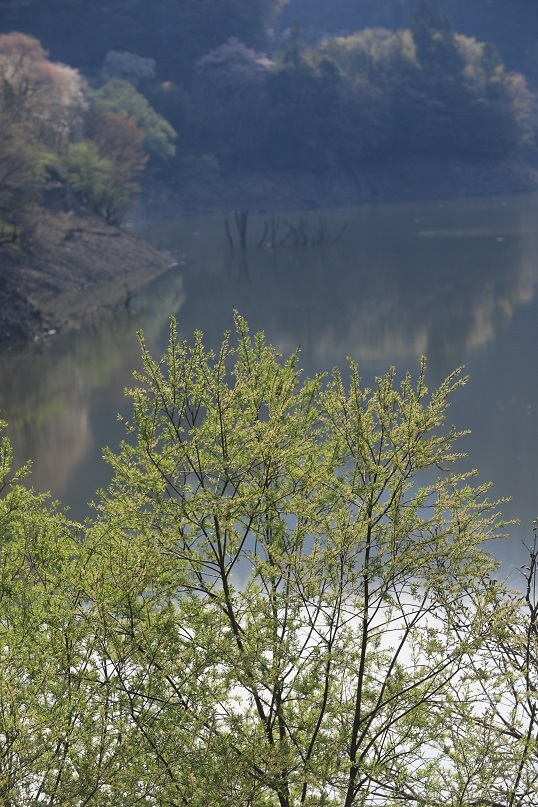 e0304170_18595504.jpg