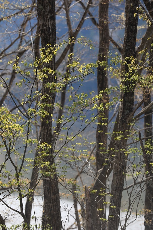 e0304170_19000521.jpg