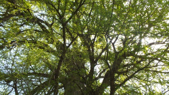 b0214473_2311252.jpg