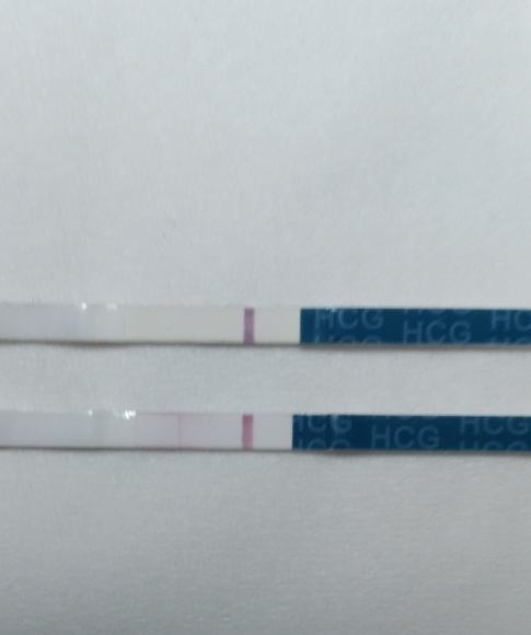 高温期15日目 Pﾁｪｯｸ Wondfo 二人目不育症日記