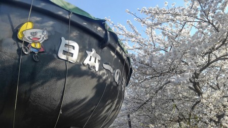 桜を眺める「2代目鍋太郎」_f0044376_12593488.jpg
