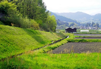 「強気」という悪の力。_c0243877_10503550.jpg