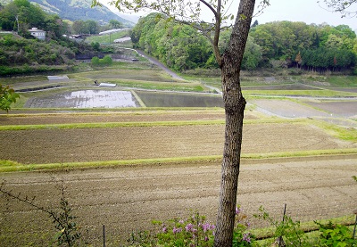 「強気」という悪の力。_c0243877_10554999.jpg