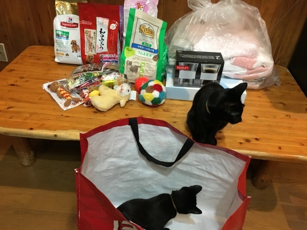 b0377882_23364586.jpeg