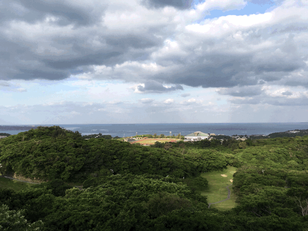 a0309389_10455301.gif