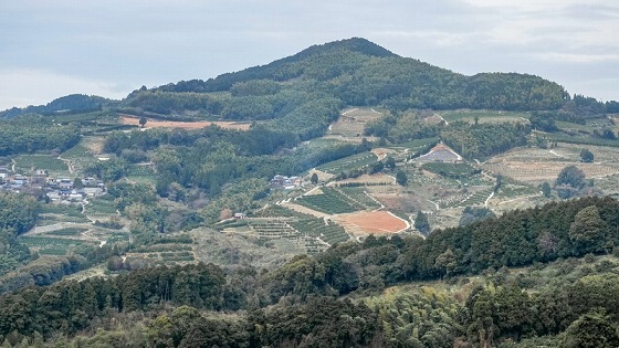 e0176993_07345302.jpg