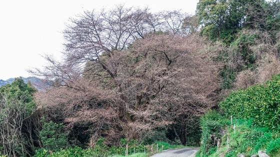 e0176993_07345416.jpg