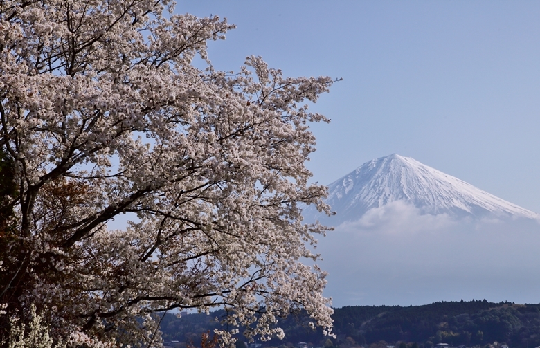 富士宮市_b0194994_20150634.jpg