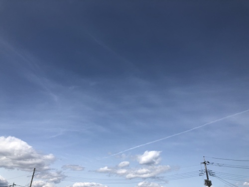 f0215094_17153825.jpeg