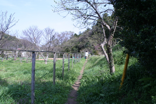 b0275998_14332141.jpg