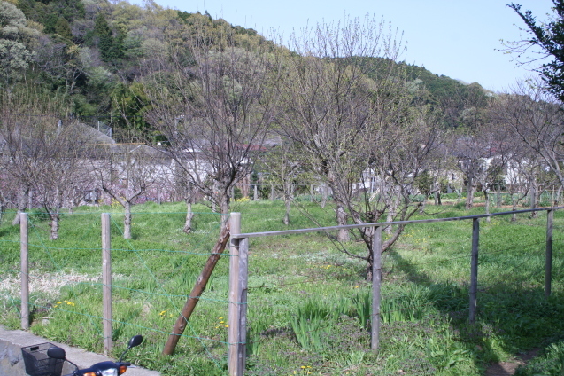 b0275998_14374390.jpg