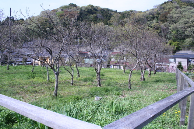 b0275998_14394779.jpg